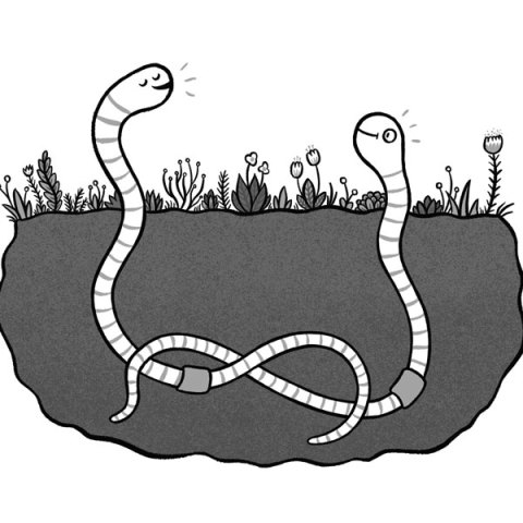 storey-The Soil Food Web: A Gardener’s Best Friend