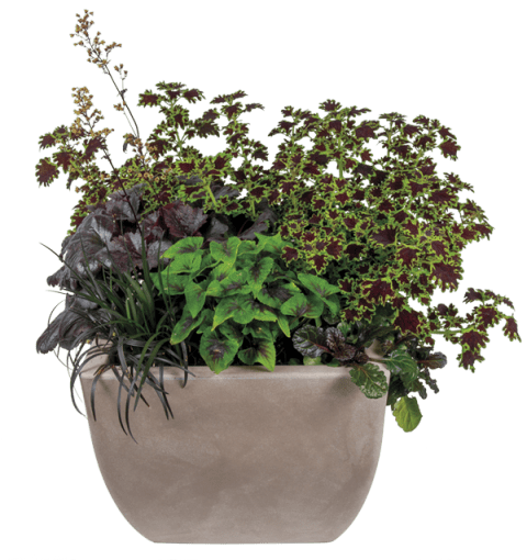 storey-Container Garden Plan: Back to Black